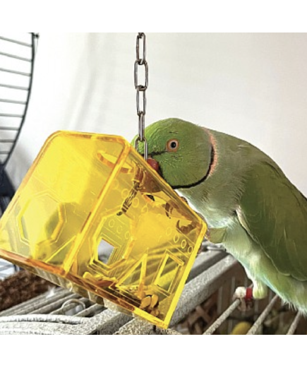 Treasure Box Foraging Parrot Toy